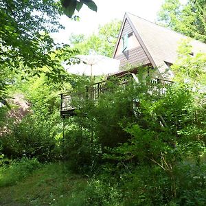Ardennen Vakantie Chalet